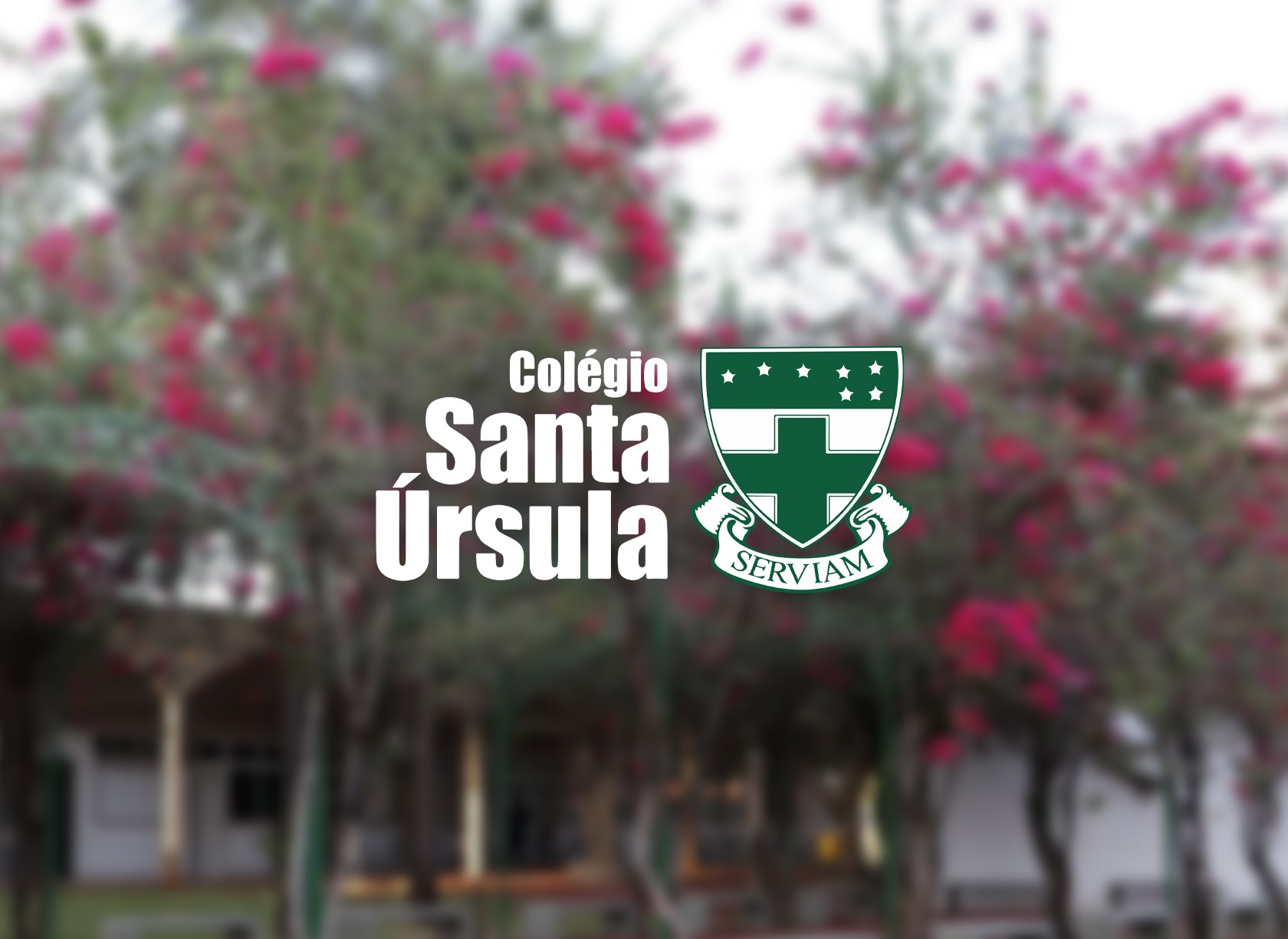 Case de criação de site: Colégio Santa Úrsula